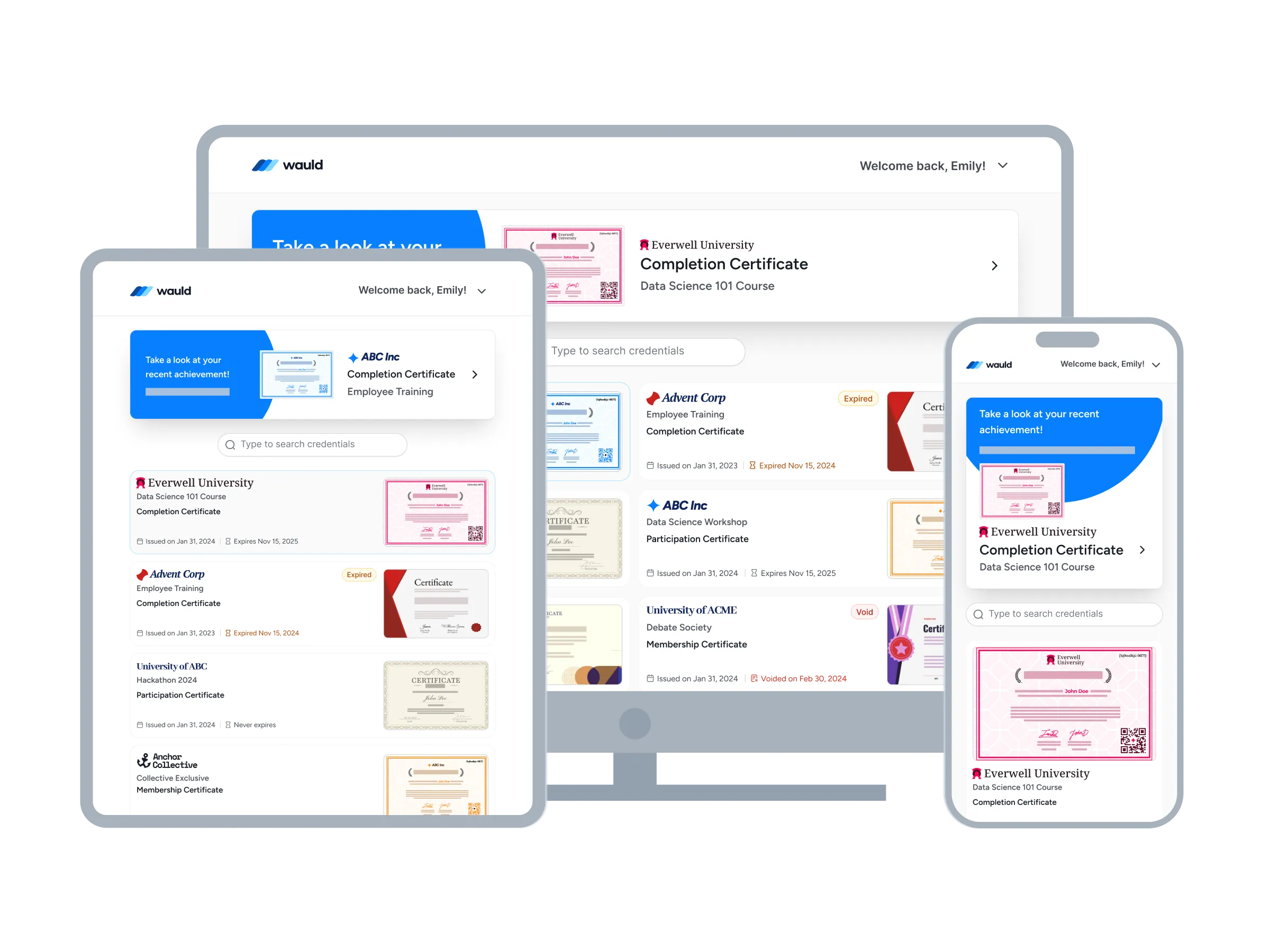 Digital credential wallet